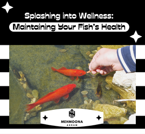 Keep your fish healthy with a splash of wellness. Dive into maintaining their well-being