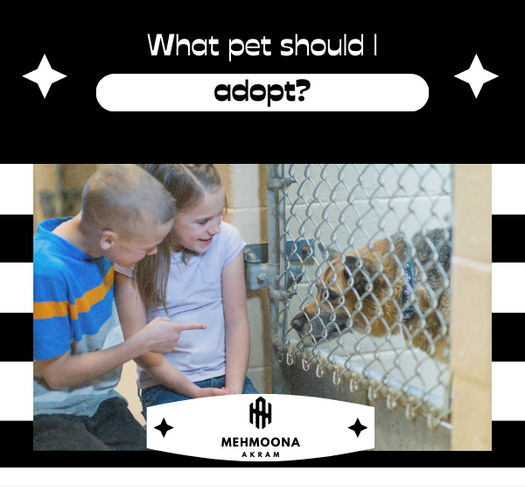 Choosing Your Ideal Pet: Which One Should You Adopt?